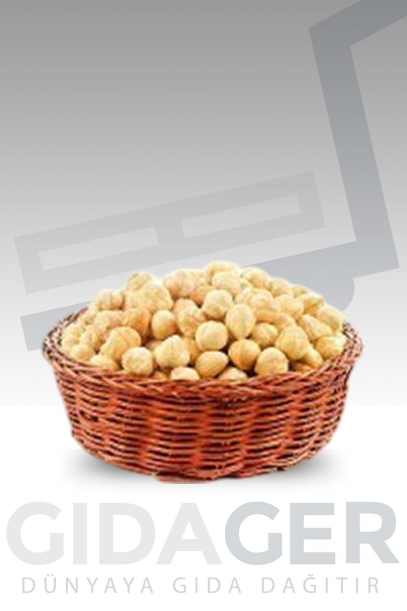 Karadeniz Bölgesi´nde özenle yetiştirilen taze fındıkların toplanması ve