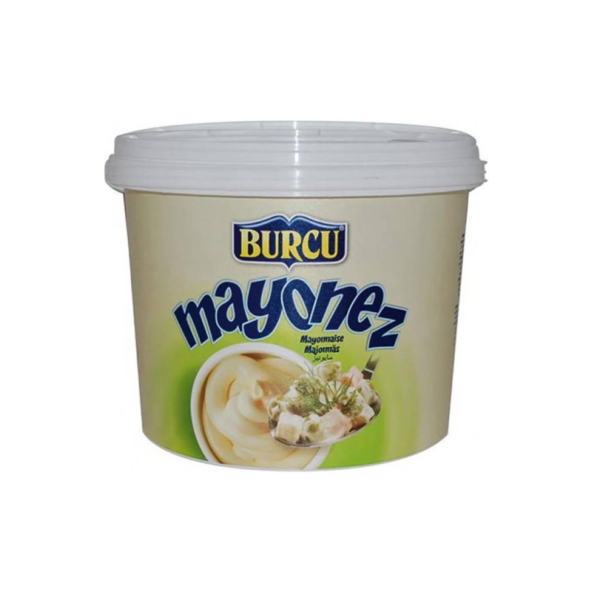 Mayonez poşetli ambalaj servis için 8000 gramlık kova kolide 2 adet Burcu marka